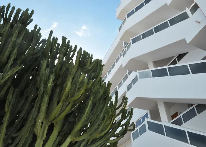 Apartamento Calma Playa del Inglés