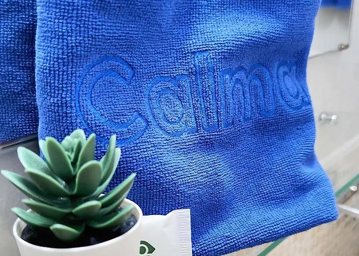 Calma פלאייה דל אינגלז