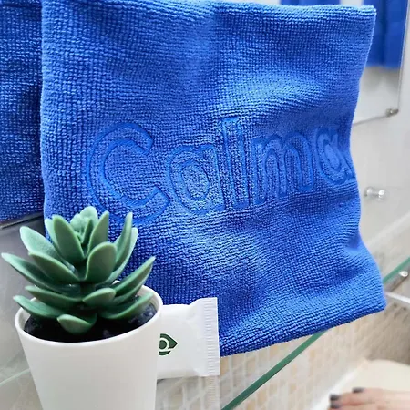 Calma פלאייה דל אינגלז